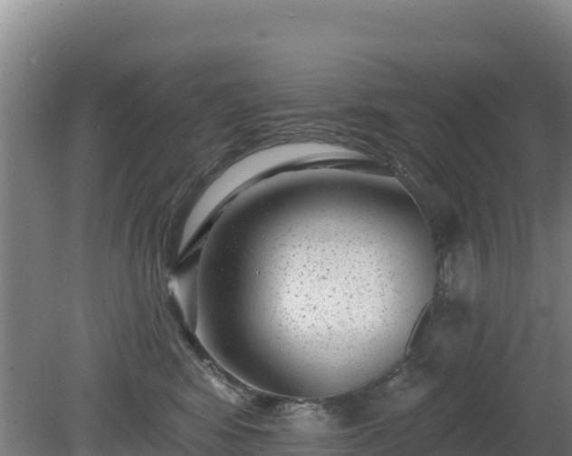 X0000080200424200612152045