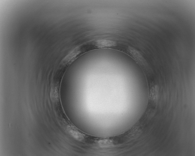 X0000080200426200612152045