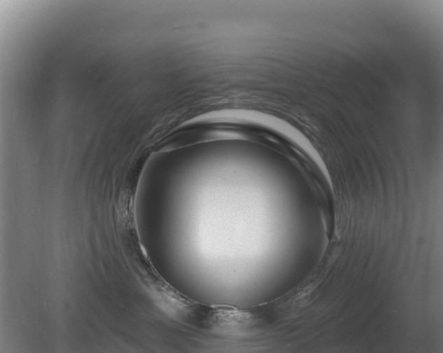 X0000080200429200612152045