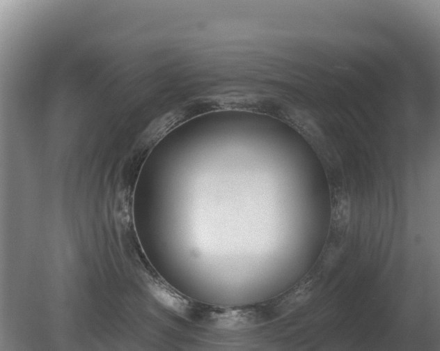 X0000080200430200612152045