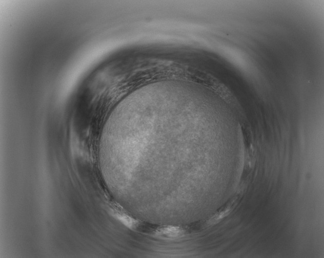 X0000080200431200612152045