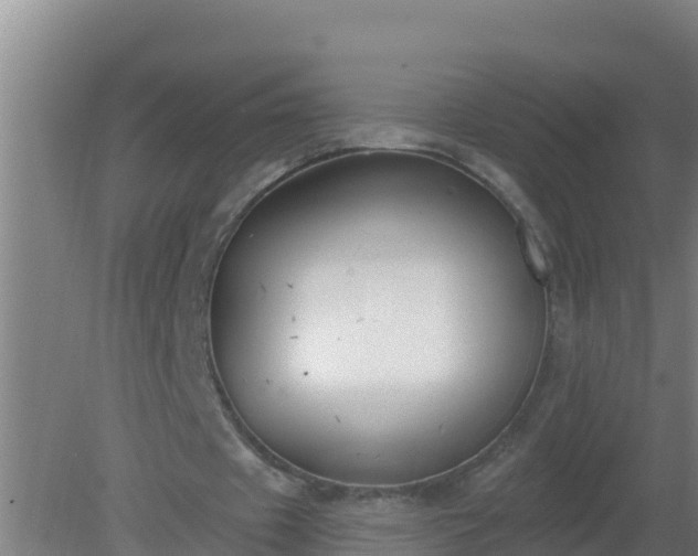 X0000080200433200612152044