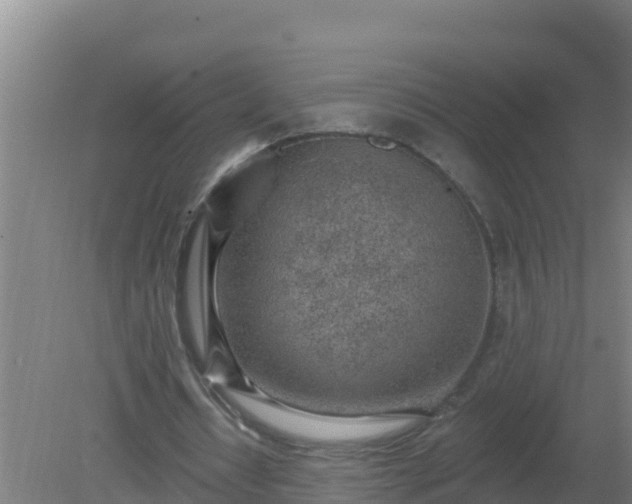 X0000080200434200612152044