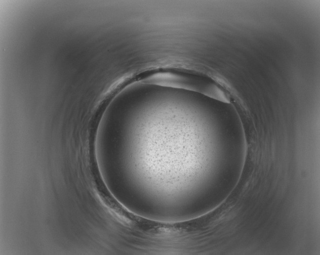 X0000080200442200612152044