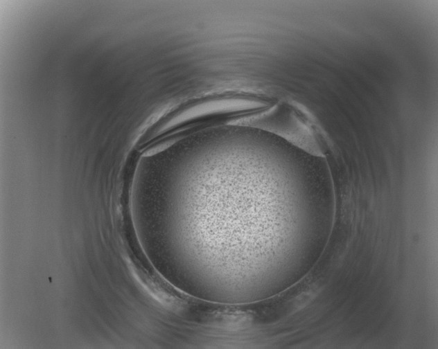 X0000080200443200612152044