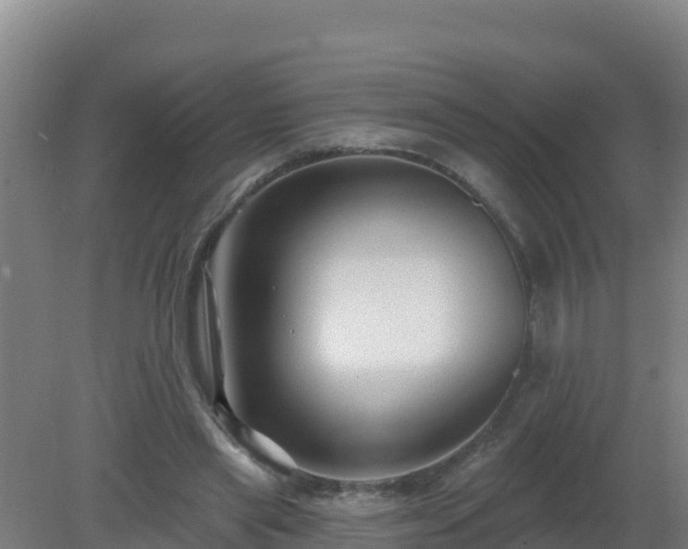 X0000080200445200612152044