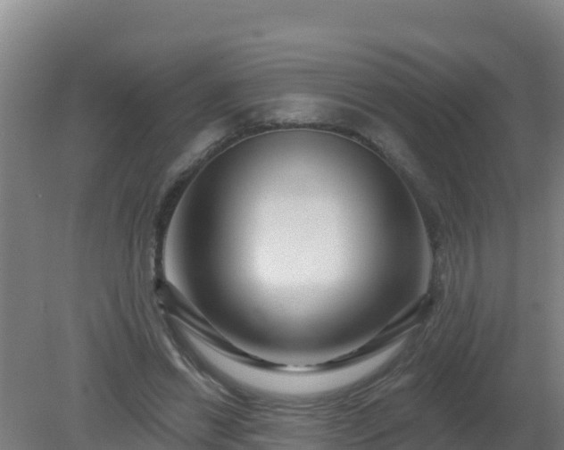 X0000080200446200612152044