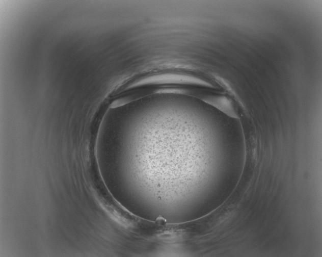 X0000080200447200612152044