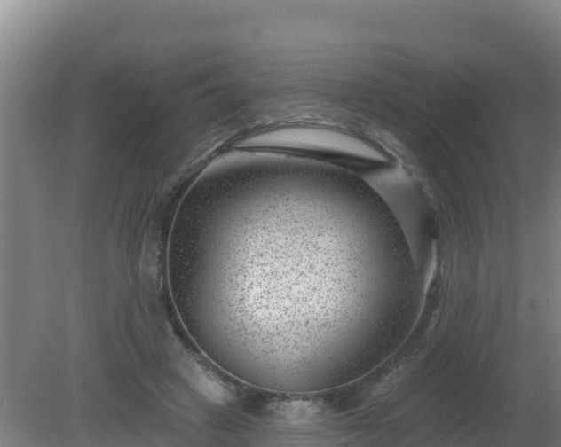 X0000080200449200612152044