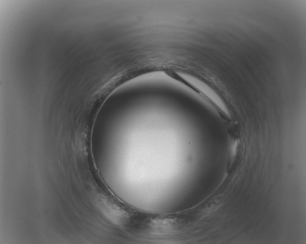 X0000080200450200612152044