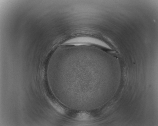 X0000080200451200612152044