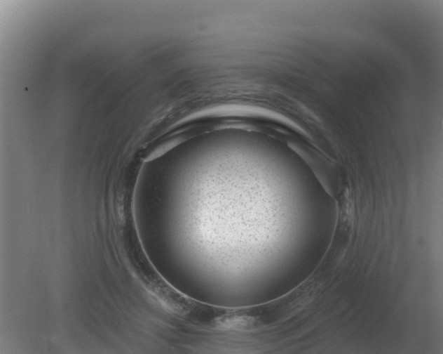 X0000080200452200612152044