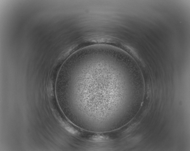 X0000080200453200612152044