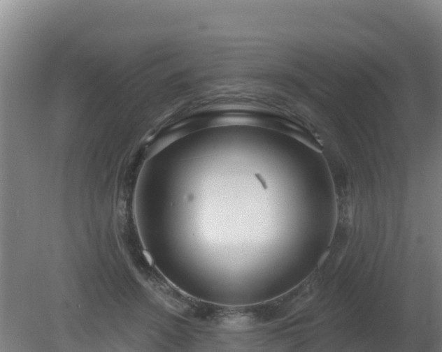 X0000080200456200612152044