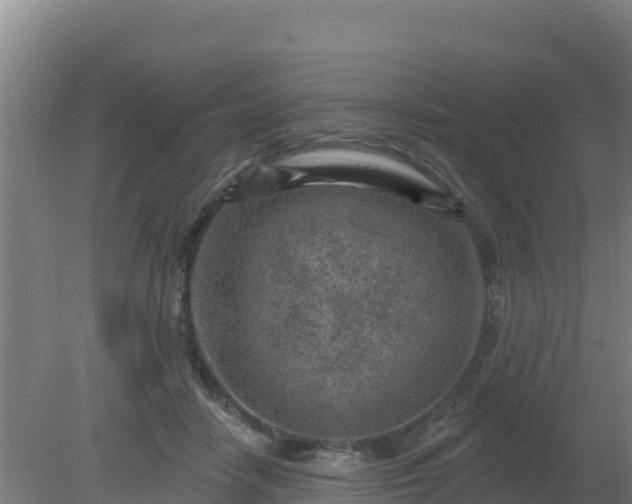 X0000080200458200612152044