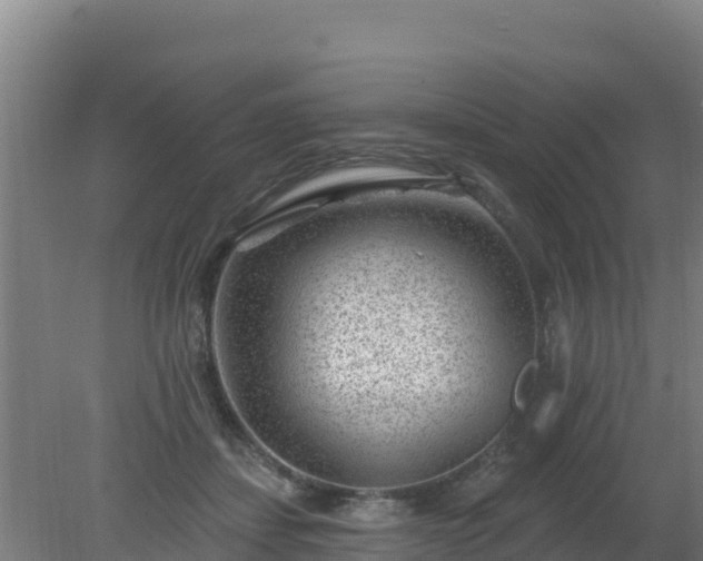 X0000080200459200612152044