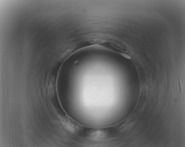 X0000080200460200612152044