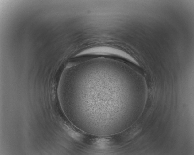 X0000080200462200612152044