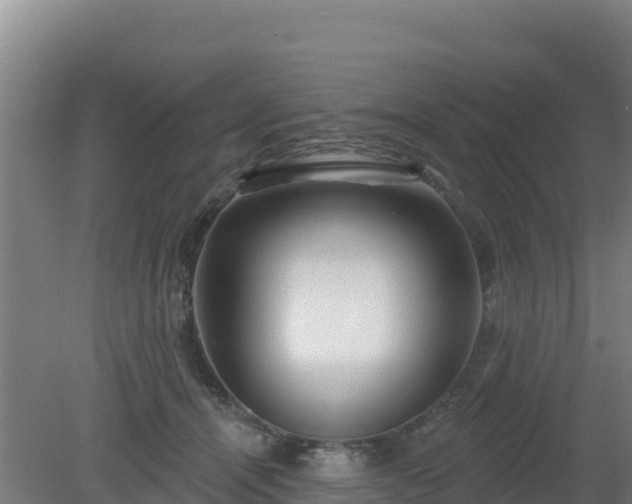 X0000080200464200612152044