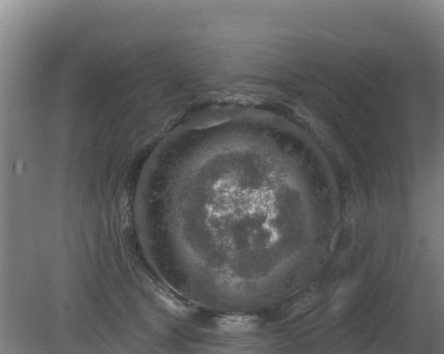 X0000080200465200612152044