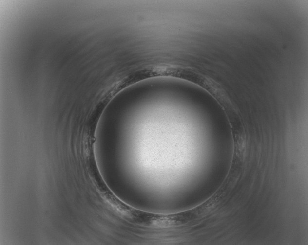 X0000080200470200612152044