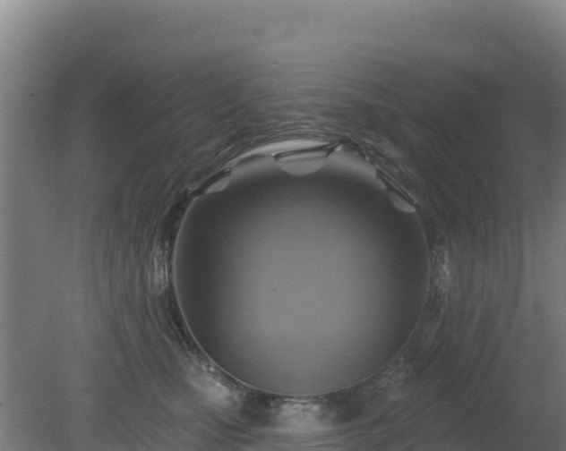 X0000080200471200612152045