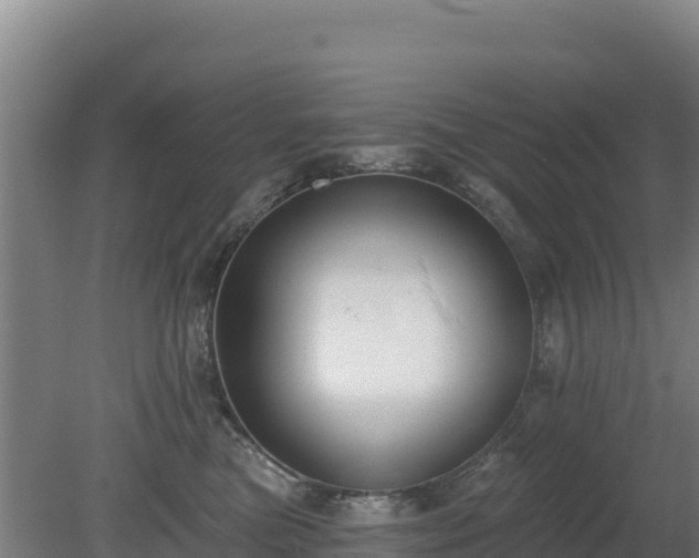 X0000080200473200612152045