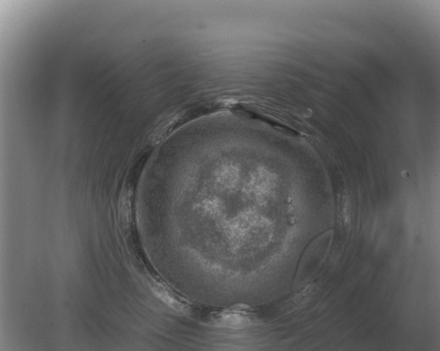 X0000080200475200612152045