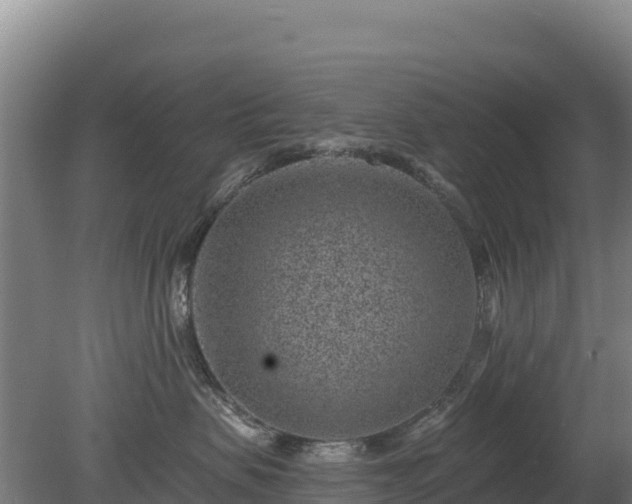 X0000080200479200612152045