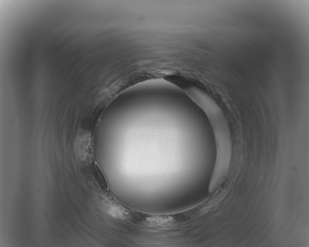 X0000080200480200612152045