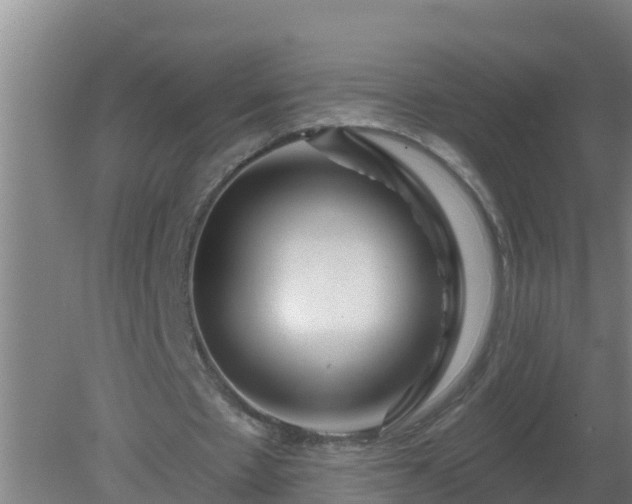 X0000080200481200612152044