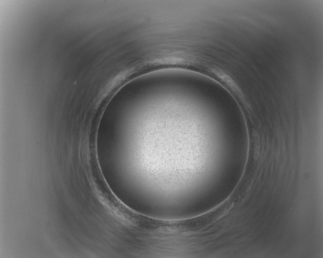 X0000080200482200612152044