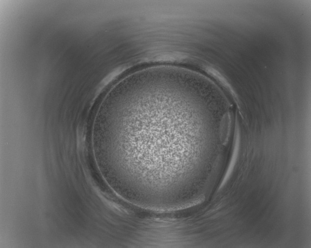 X0000080200483200612152044