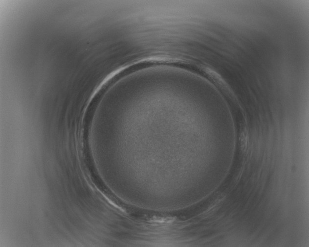 X0000080200484200612152044