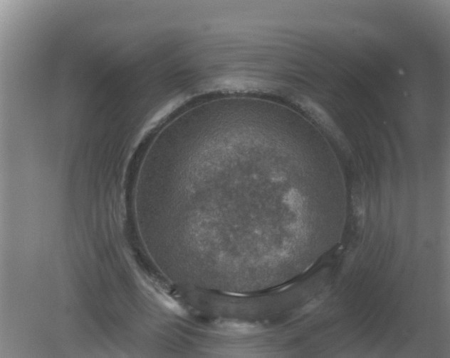 X0000080200488200612152044