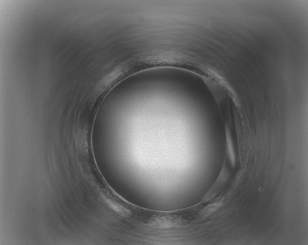 X0000080200489200612152044