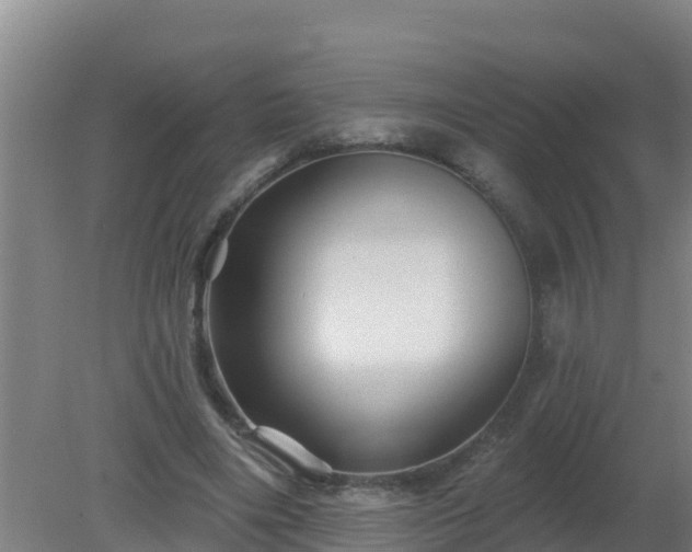 X0000080200490200612152044