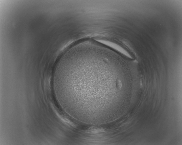 X0000080200491200612152044