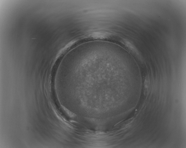 X0000080200492200612152044