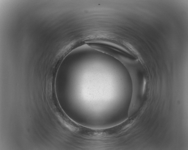 X0000080200493200612152044