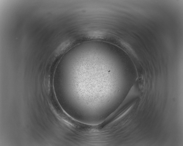 X0000080200494200612152044