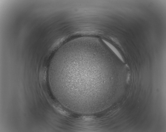 X0000080200495200612152044