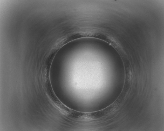 X0000080200498200612152044