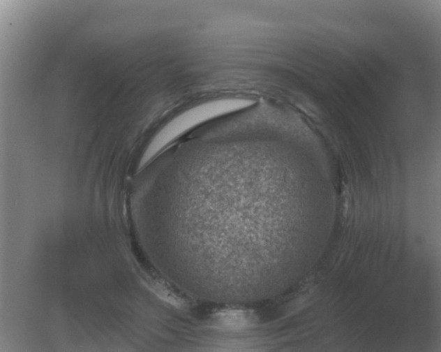 X0000080200499200612152044