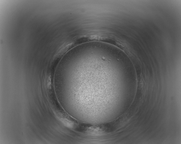 X0000080200502200612152044