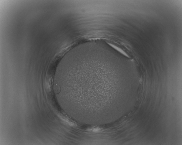 X0000080200503200612152043