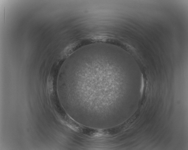 X0000080200504200612152043