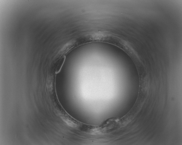 X0000080200505200612152043