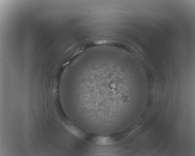 X0000080200507200612152043