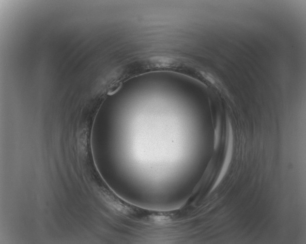 X0000080200509200612152043